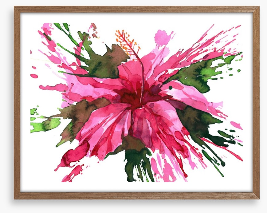 Hibiscus flower splash