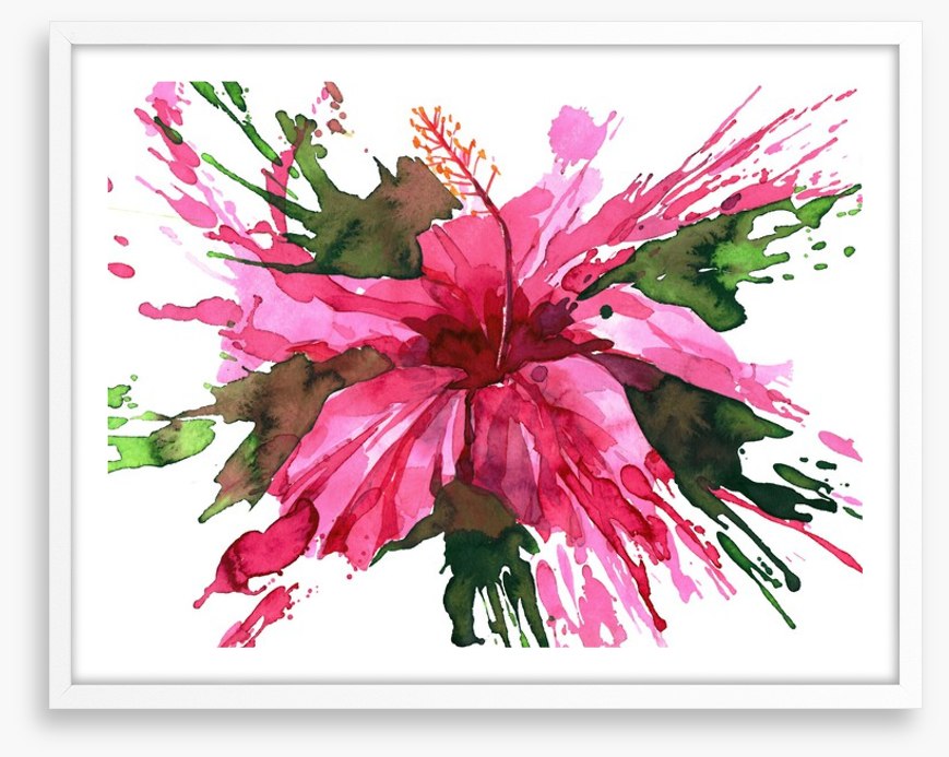 Hibiscus flower splash