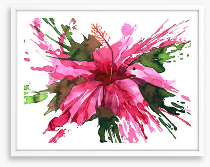 Hibiscus flower splash