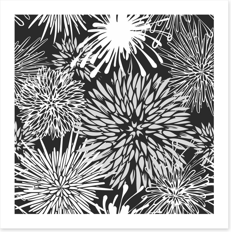 Chrysanthemum burst