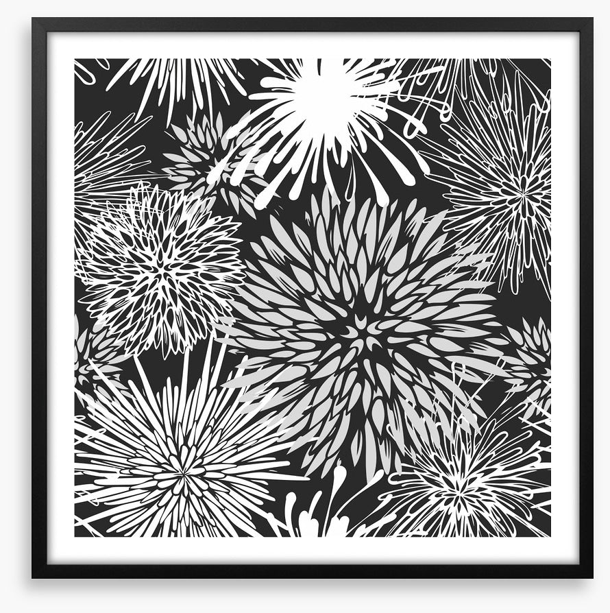 Chrysanthemum burst
