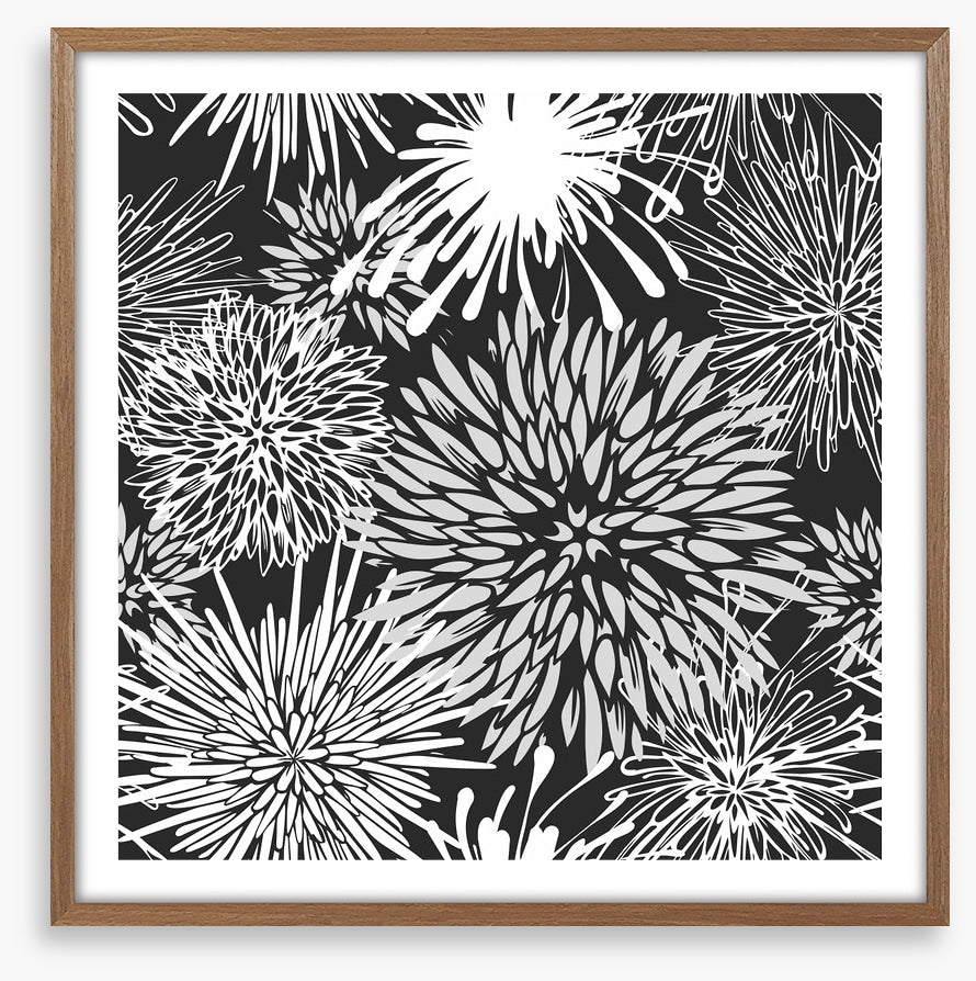 Chrysanthemum burst