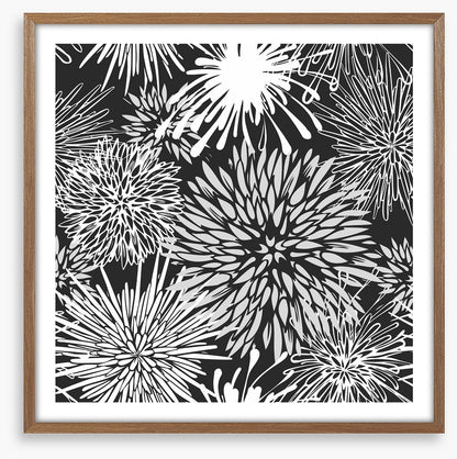 Chrysanthemum burst