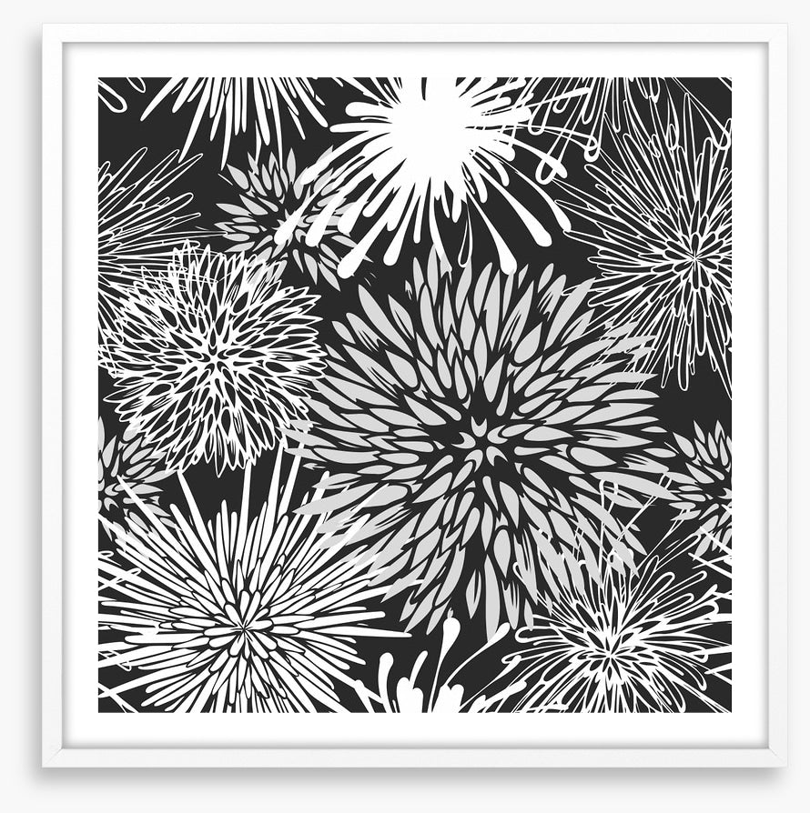 Chrysanthemum burst