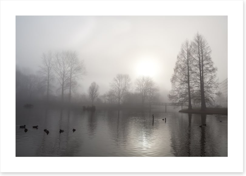 Silhouettes in the morning fog