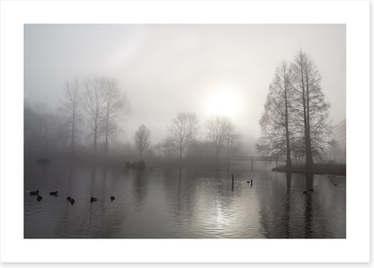 Silhouettes in the morning fog