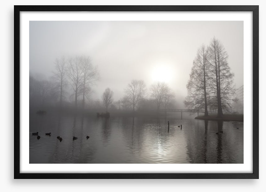 Silhouettes in the morning fog