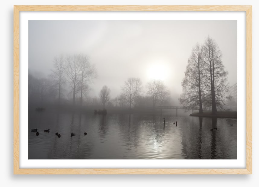 Silhouettes in the morning fog