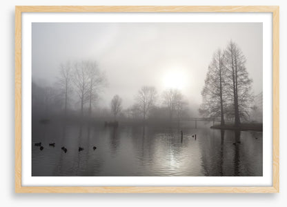 Silhouettes in the morning fog