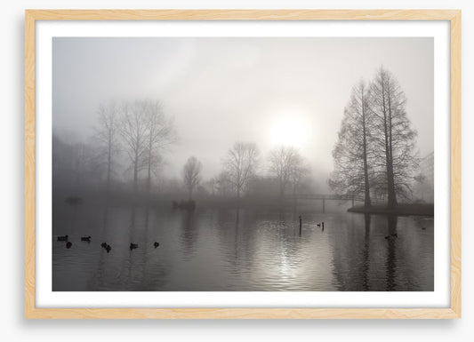 Silhouettes in the morning fog