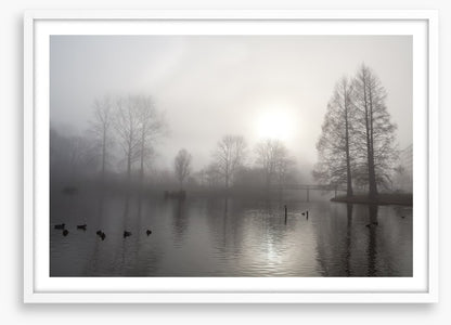 Silhouettes in the morning fog