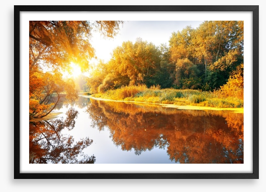 Autumn forest reflections