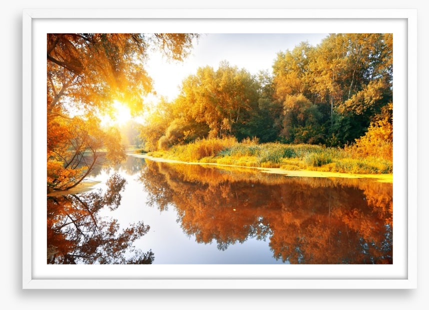 Autumn forest reflections