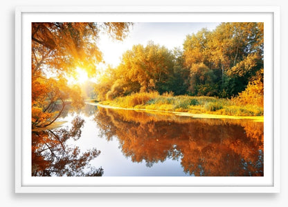 Autumn forest reflections