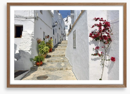 Bougainvillea against the whitewash