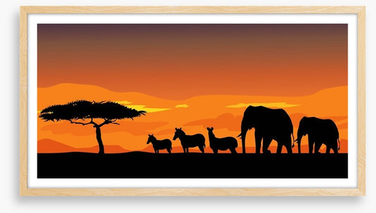 African safari at sunset