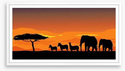 African safari at sunset