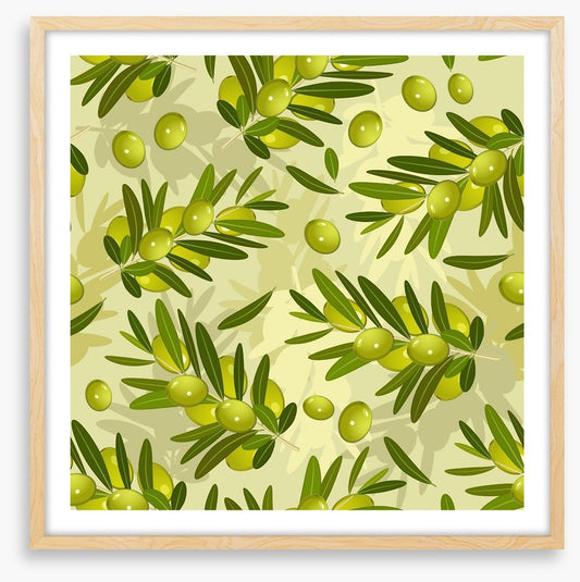 Olive branches
