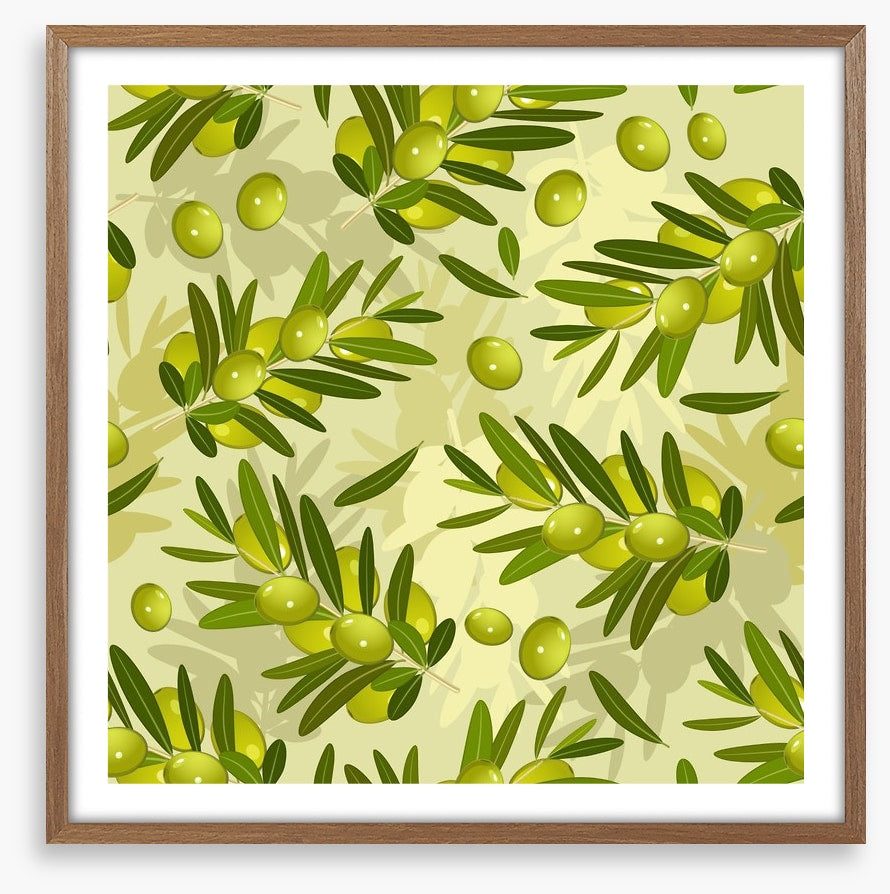 Olive branches