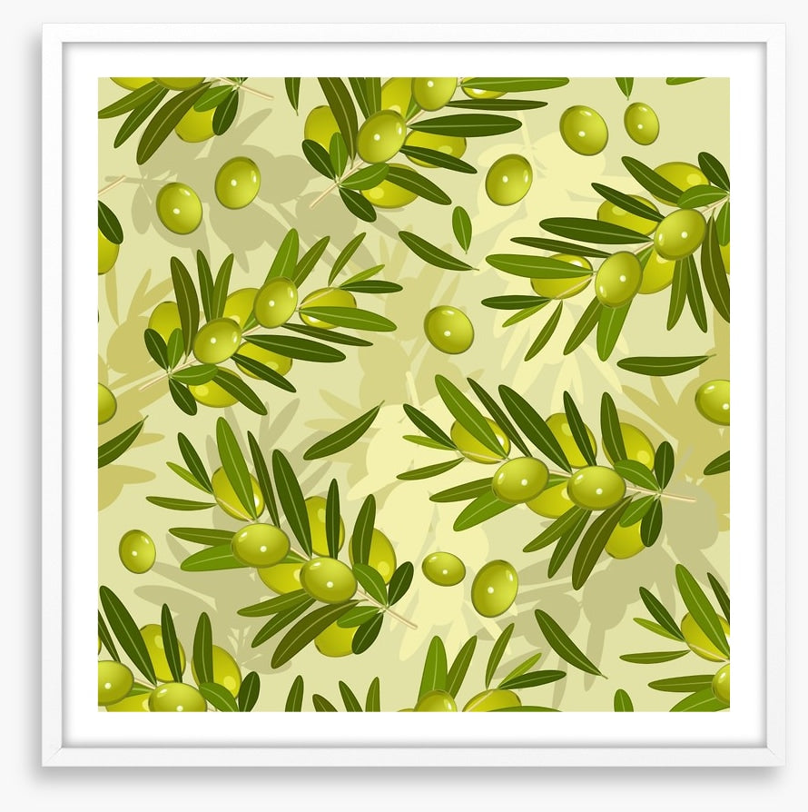 Olive branches