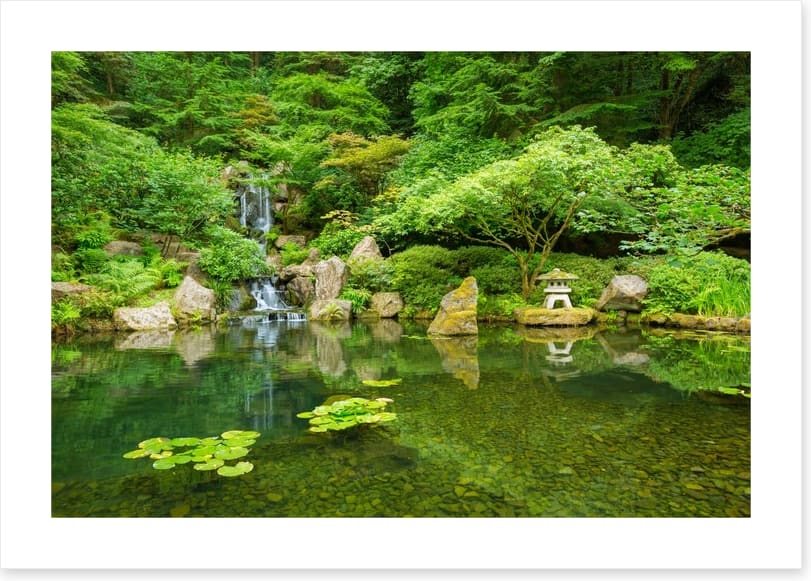 Zen garden in Spring