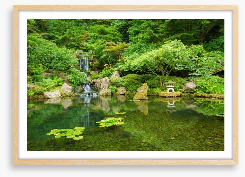 Zen garden in Spring