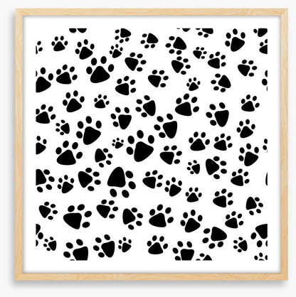 Patter of tiny paw prints
