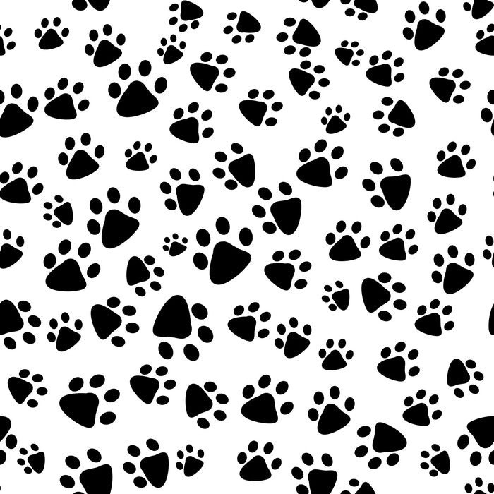 Patter of tiny paw prints