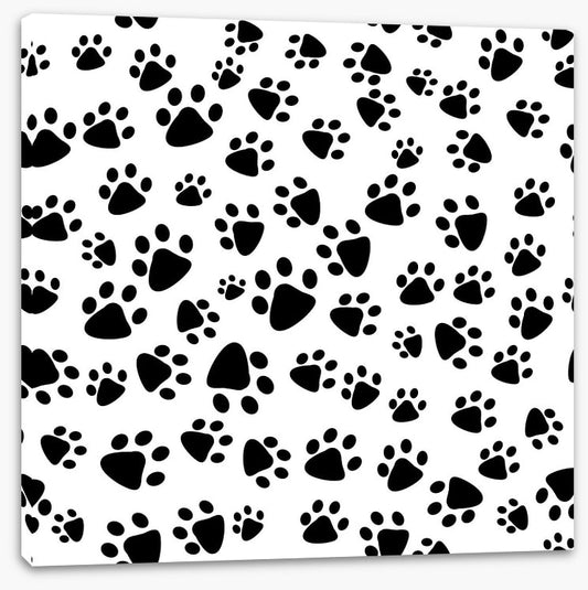 Patter of tiny paw prints