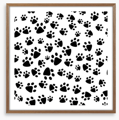 Patter of tiny paw prints