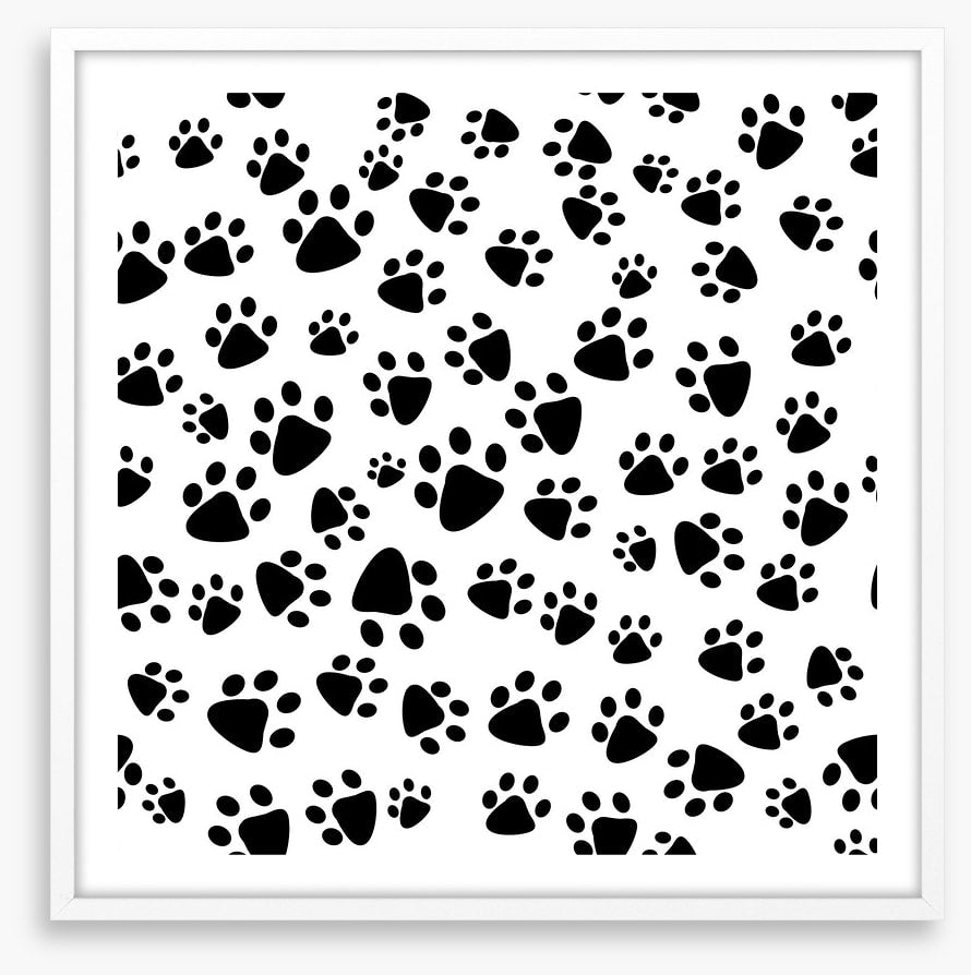 Patter of tiny paw prints