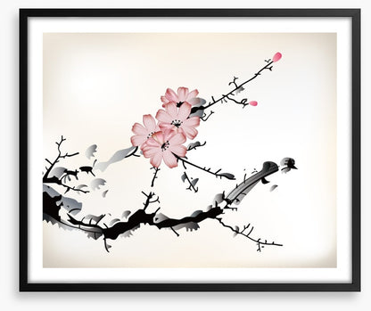 Plum blossom branch