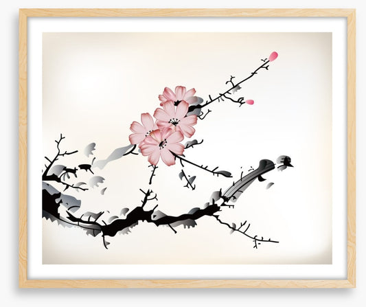 Plum blossom branch