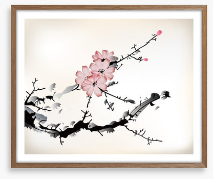 Plum blossom branch