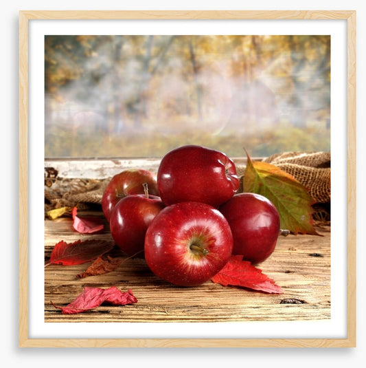 Shiny red apples