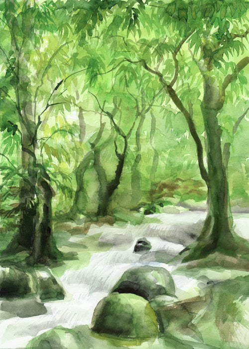 Watercolour