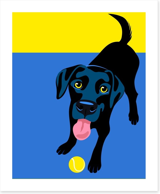 Go fetch