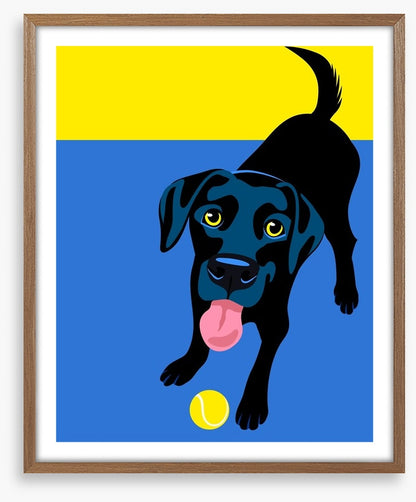 Go fetch