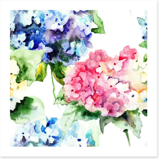 Hydrangea flowers
