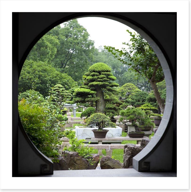 The bonsai garden