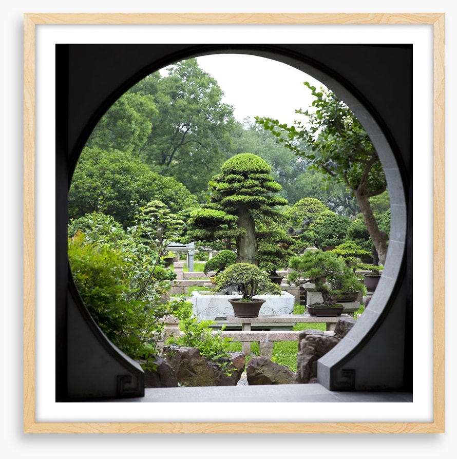 The bonsai garden