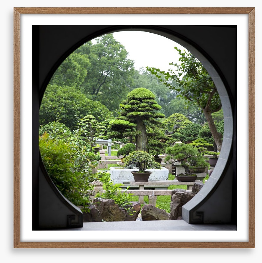 The bonsai garden