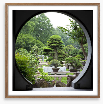 The bonsai garden