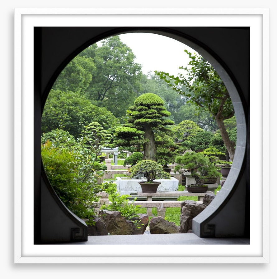 The bonsai garden