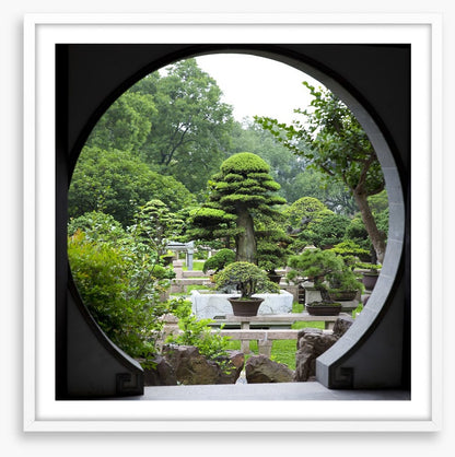 The bonsai garden