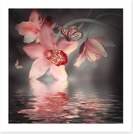 Orchid and butterfly reflections