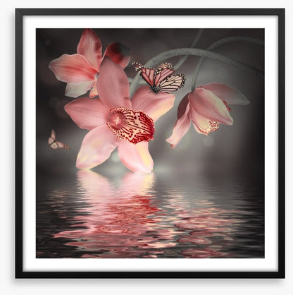Orchid and butterfly reflections
