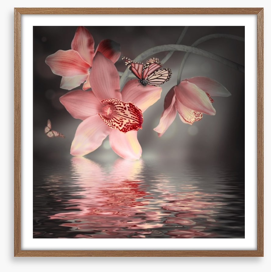 Orchid and butterfly reflections