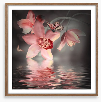 Orchid and butterfly reflections