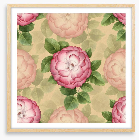 Vintage dog-rose